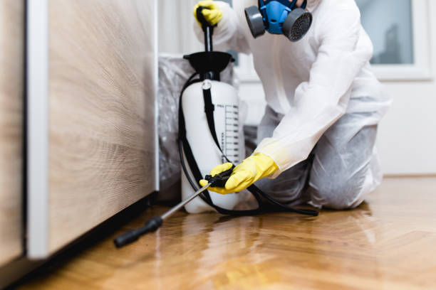 Best Pest Control for Restaurants  in Fulton, MO