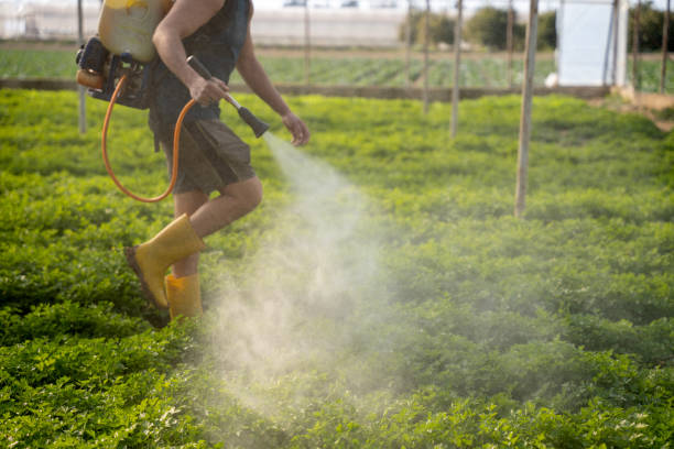 Best Affordable Pest Control Services  in Fulton, MO