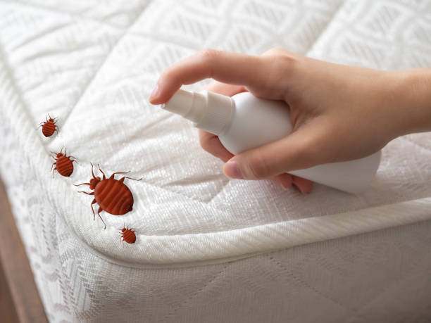 Pest Control for Restaurants in Fulton, MO