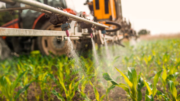Best Pest Removal Services  in Fulton, MO